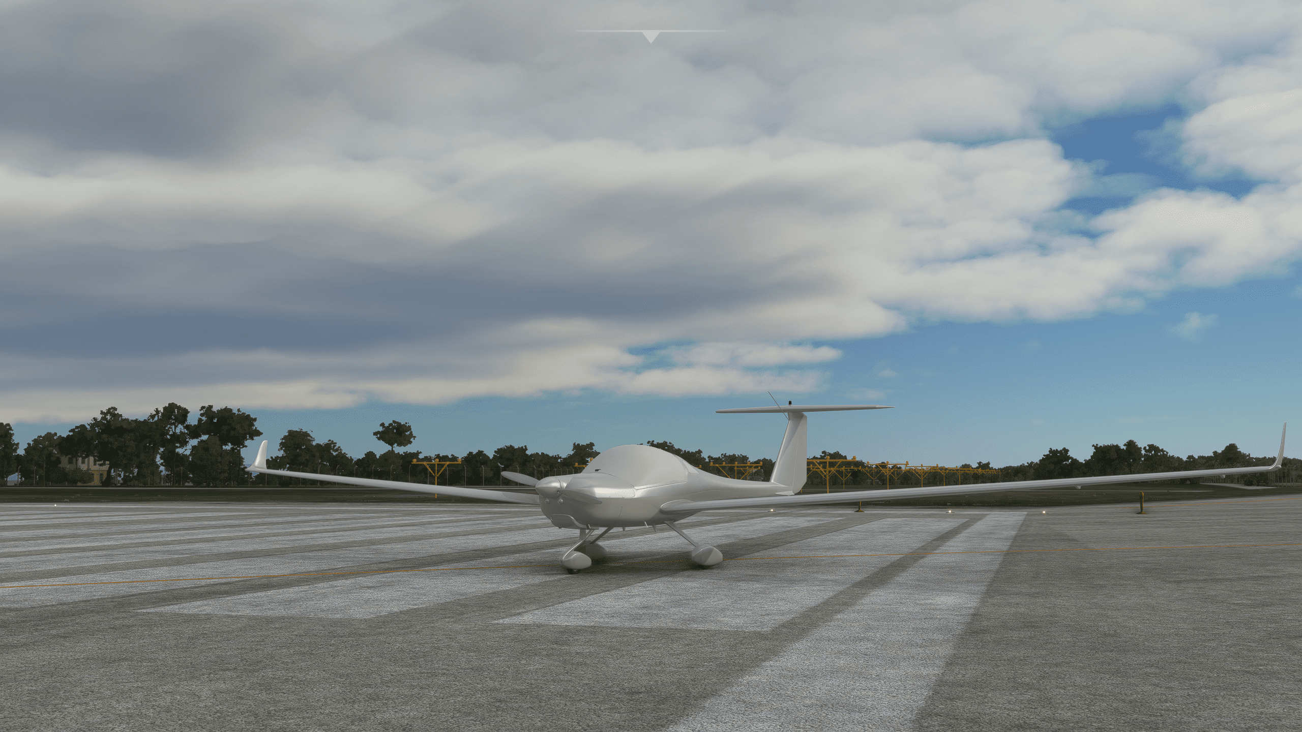 Microsoft Flight Simulator 29.01.2021 09_41_45.png