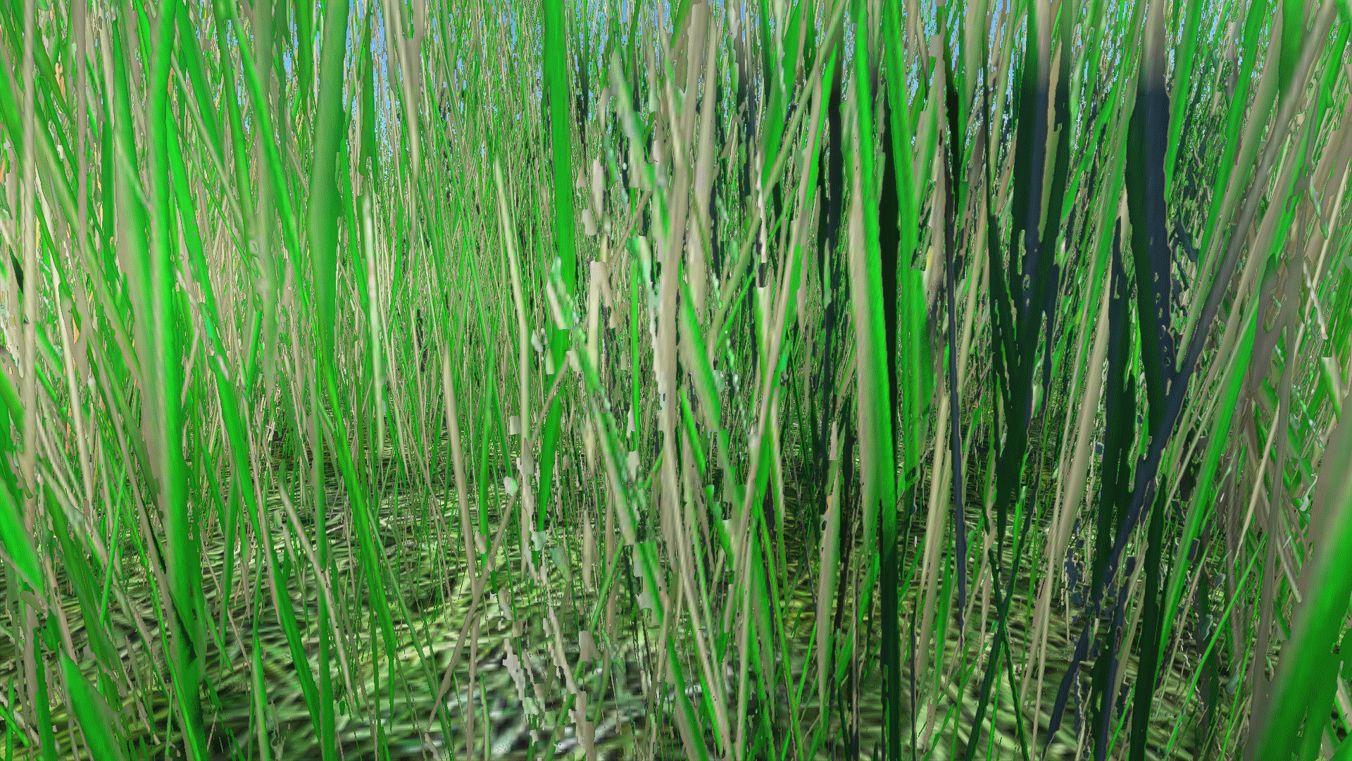 untitled-png.75588