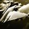 crazieman_47