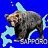 Brown Bear